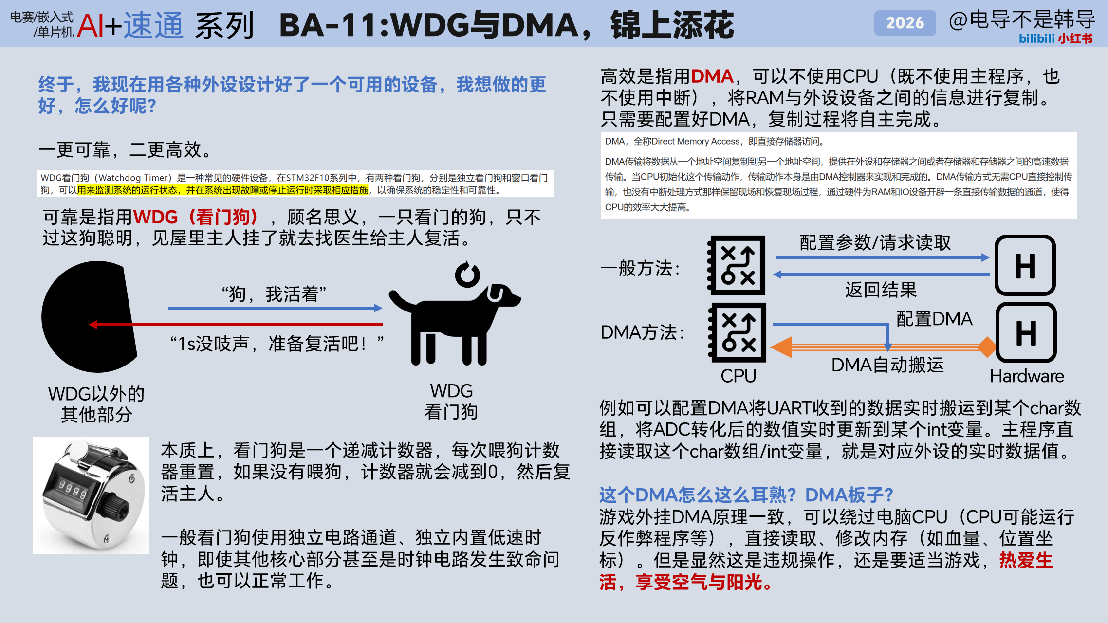 BA-11 WDG/DMA